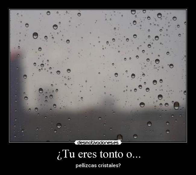 ¿Tu eres tonto o... - 