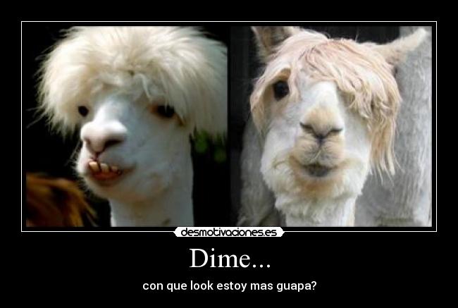 carteles risas desmotivaciones