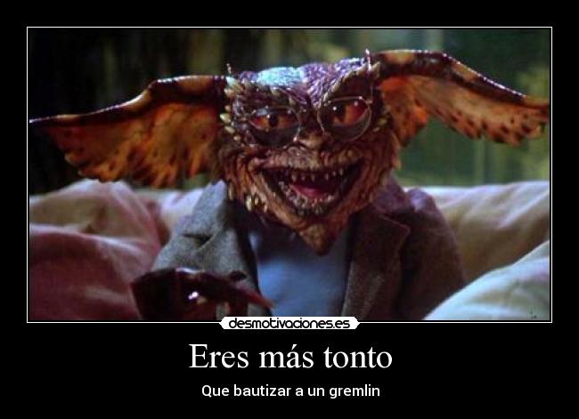 Eres más tonto - Que bautizar a un gremlin