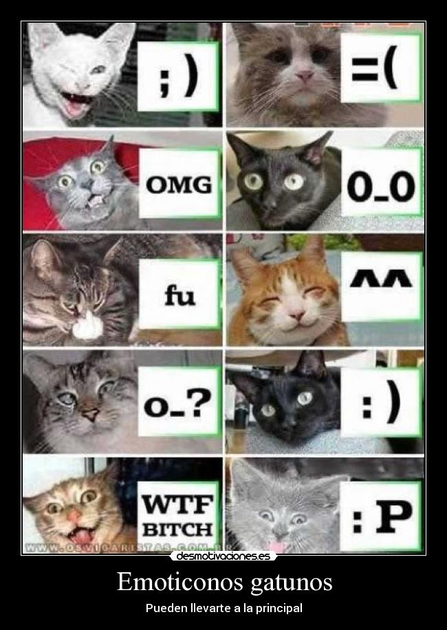 Emoticonos gatunos - 