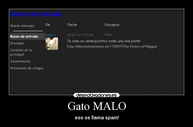 Gato MALO - eso se llama spam!