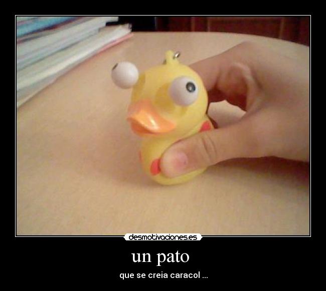 un pato -