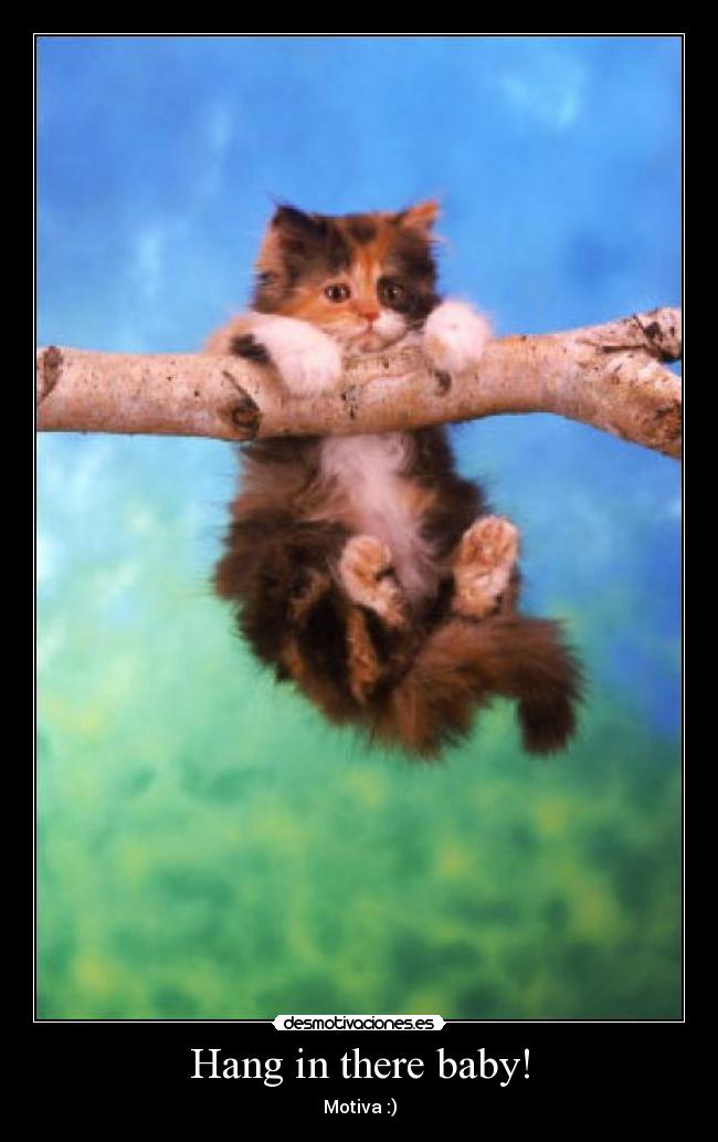 carteles hang there baby desmotivaciones