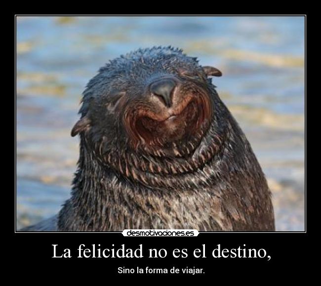 La felicidad no es el destino, - Sino la forma de viajar.