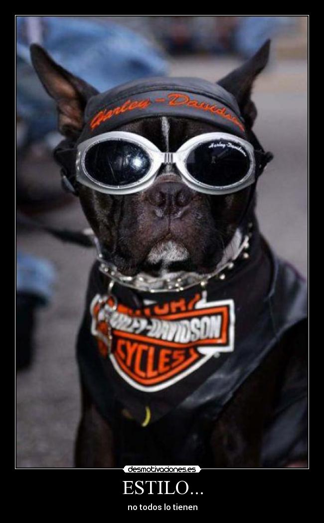 ESTILO... - no todos lo tienen