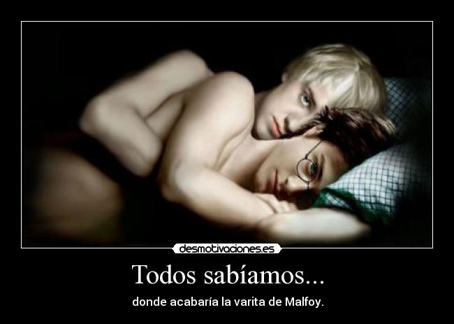 Todos sabíamos... - donde acabaría la varita de Malfoy.