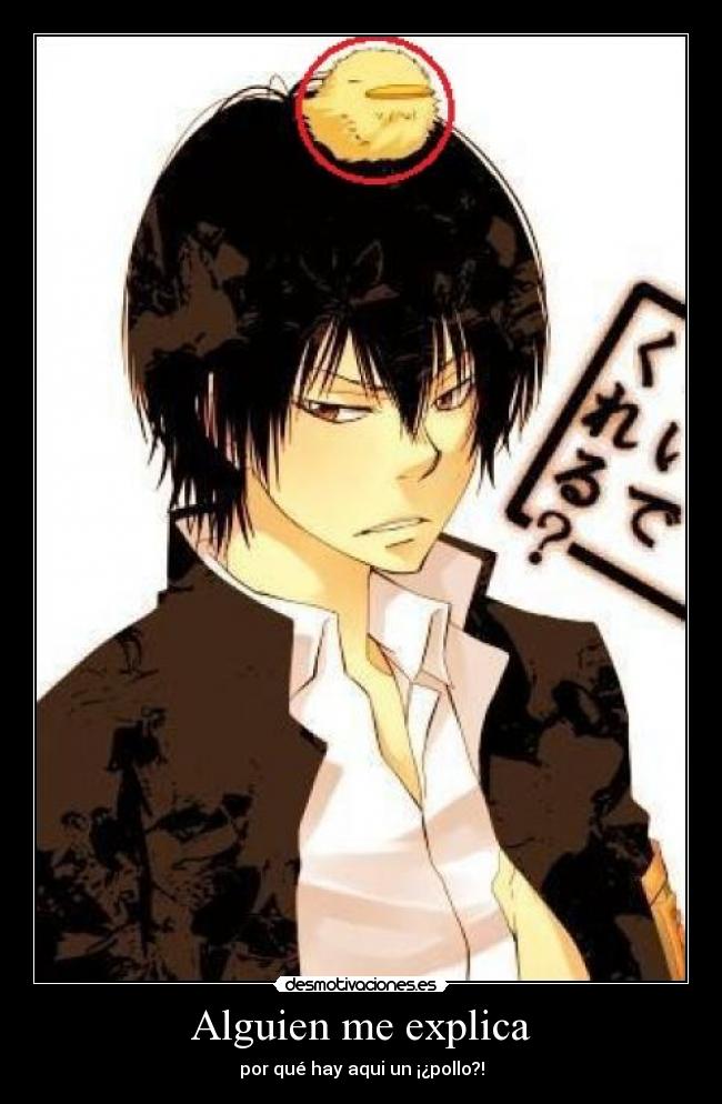 Alguien me explica - por qué hay aqui un ¡¿pollo?!