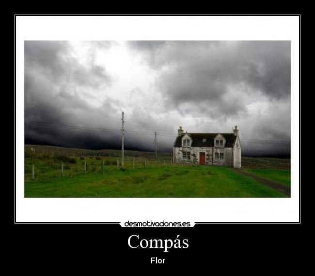 carteles compas flor desmotivaciones