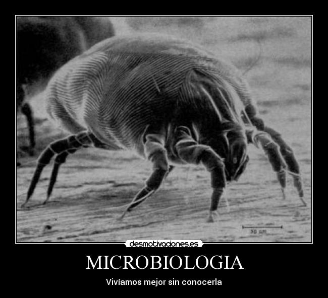 carteles microbiologia desmotivaciones