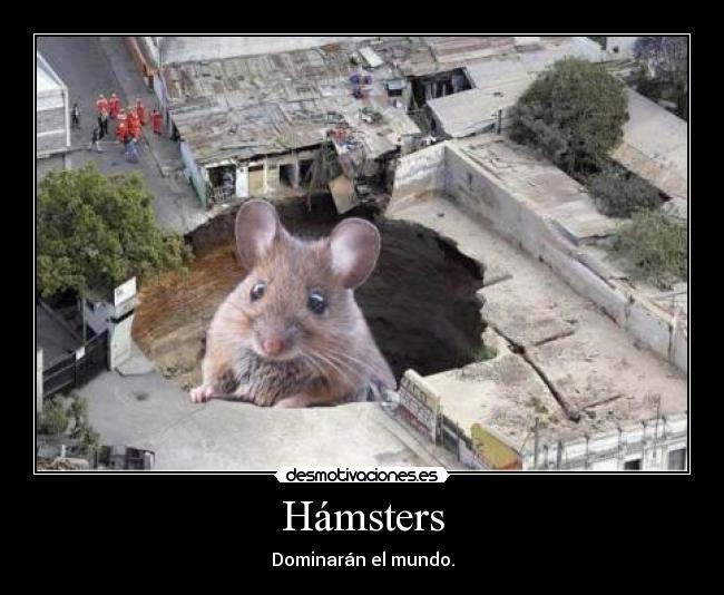 Hámsters -