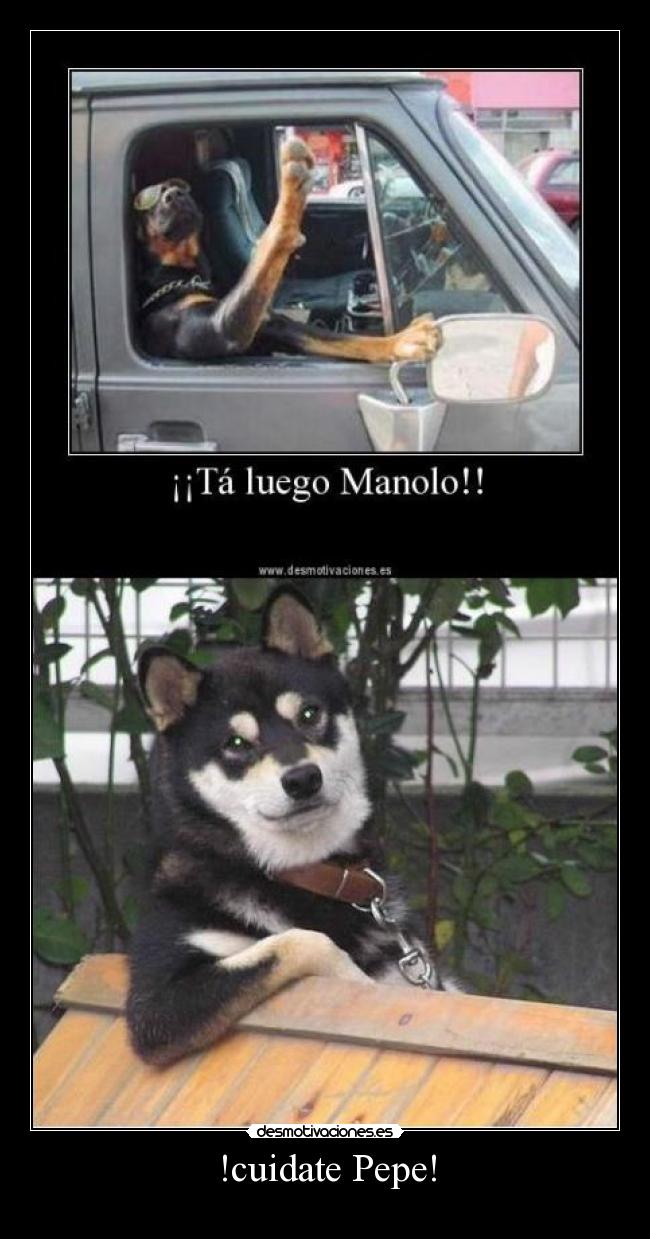 !cuidate Pepe! - 
