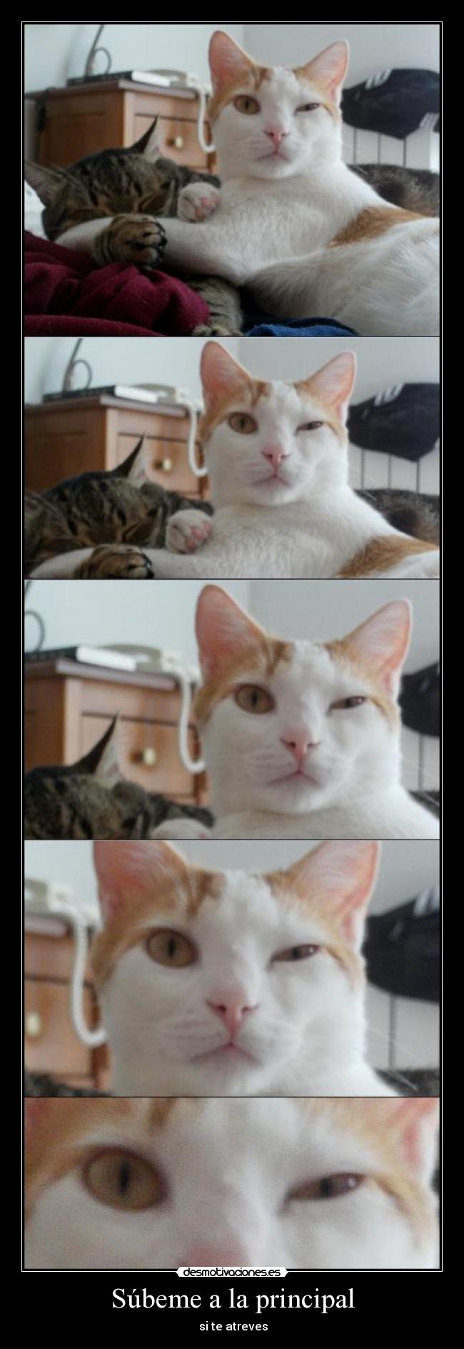 Súbeme a la principal - 