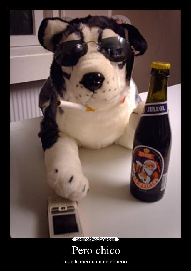 Pero chico - que la merca no se enseña