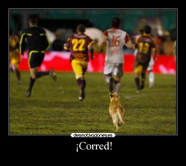 ¡Corred! - 