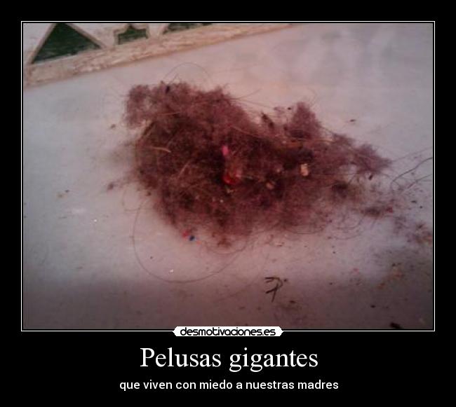 Pelusas gigantes - que viven con miedo a nuestras madres