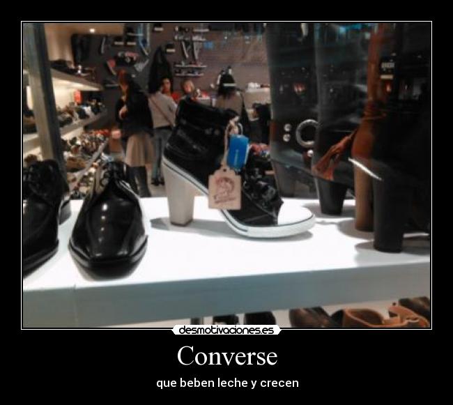 Converse - que beben leche y crecen
