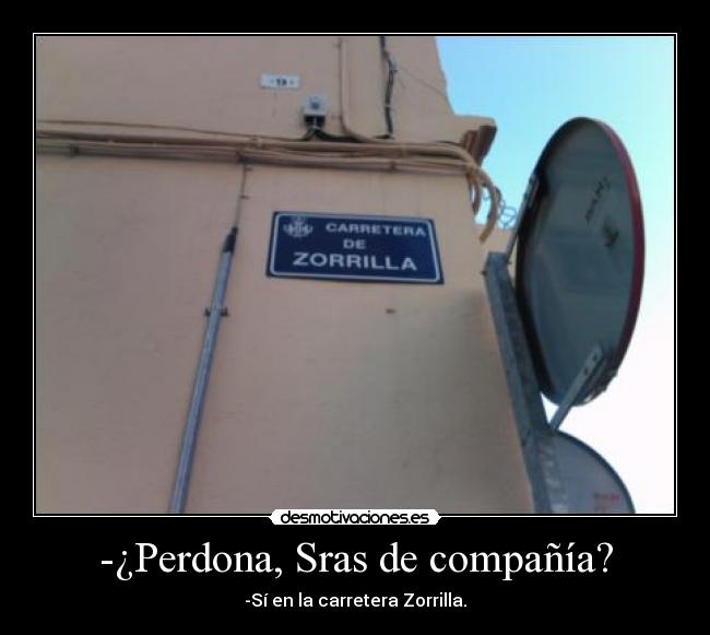 -¿Perdona, Sras de compañía? - -Sí en la carretera Zorrilla.