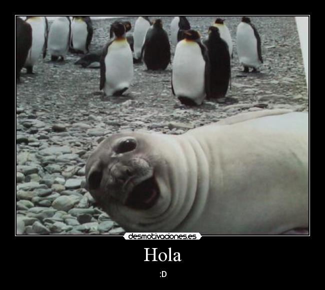 Hola - :D