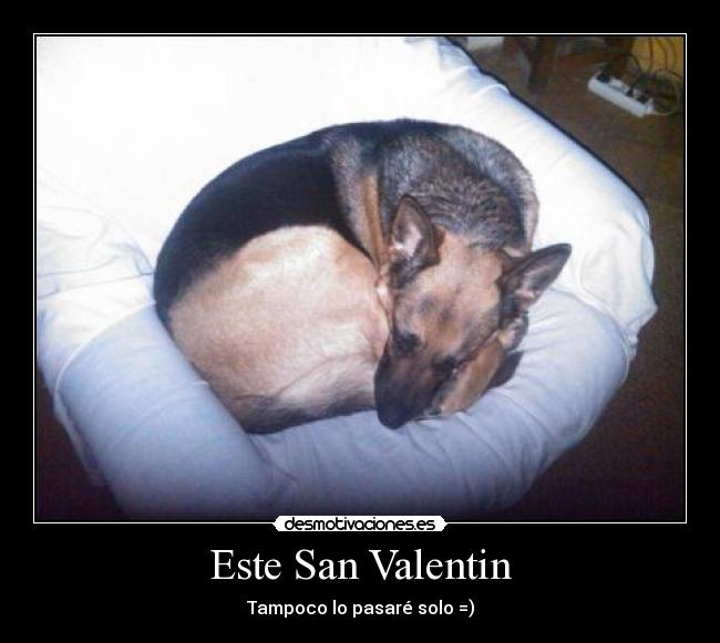 Este San Valentin - Tampoco lo pasaré solo =)