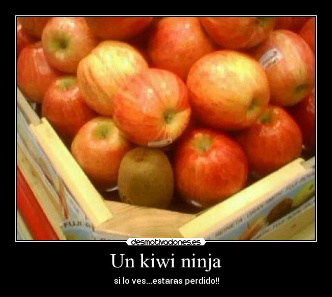 carteles nija desmotivaciones