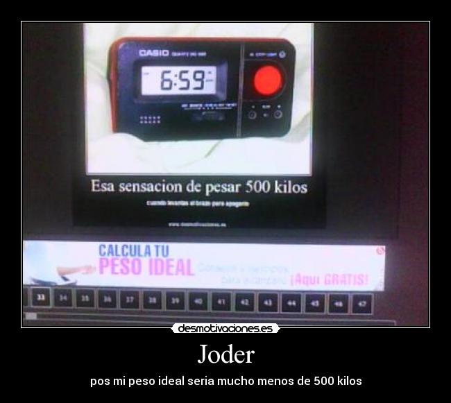 Joder - pos mi peso ideal seria mucho menos de 500 kilos