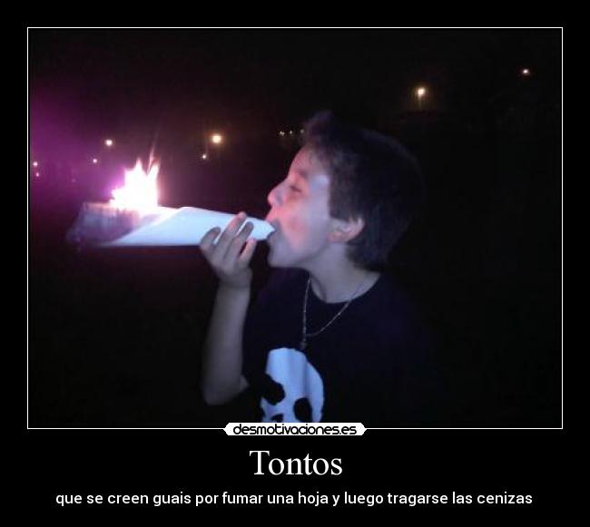 Tontos - 