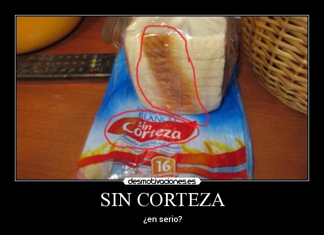 SIN CORTEZA - ¿en serio?