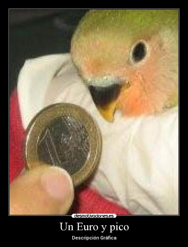 Un Euro y pico -