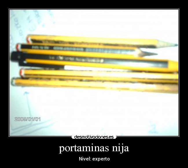 portaminas nija - Nivel: experto