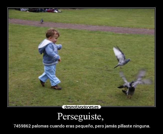 Perseguiste,  - 7459862 palomas cuando eras pequeño, pero jamás pillaste ninguna.