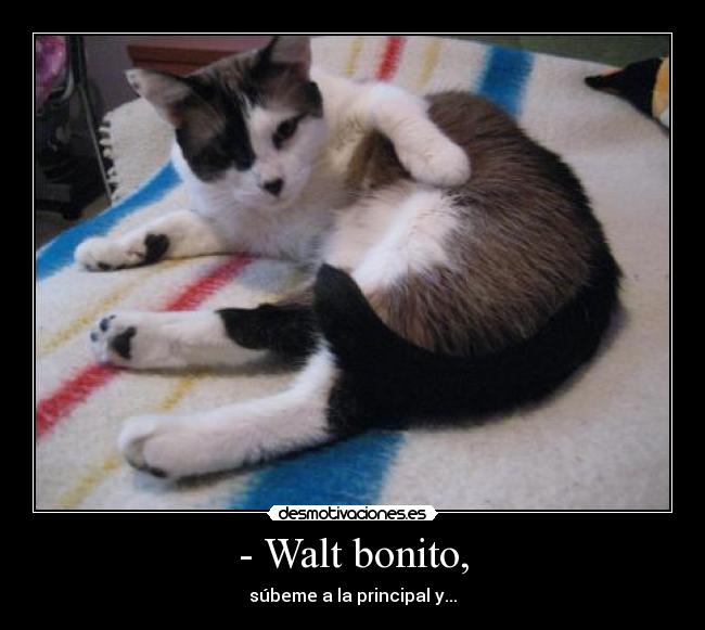 - Walt bonito, - súbeme a la principal y...