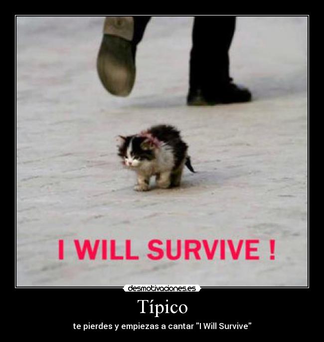 Típico - te pierdes y empiezas a cantar I Will Survive