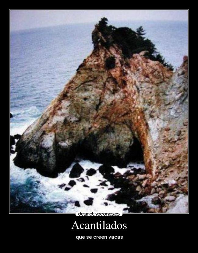 carteles  desmotivaciones