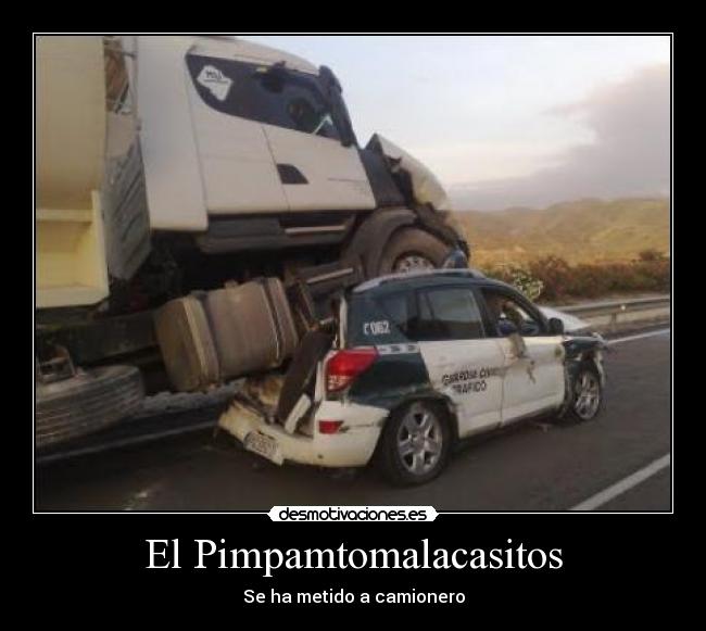 El Pimpamtomalacasitos - 