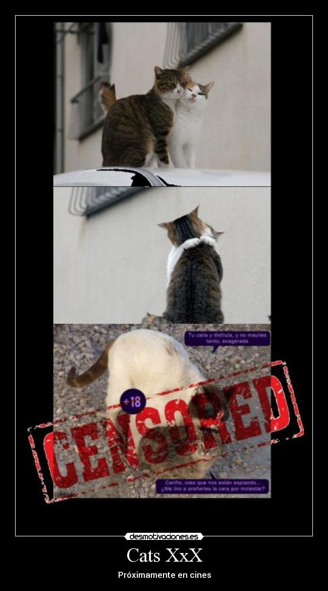 Cats XxX - Próximamente en cines