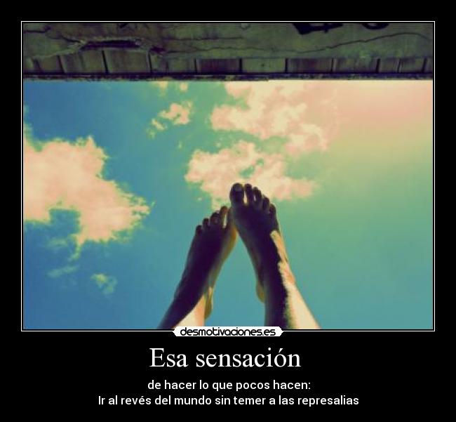 carteles sensacion desmotivaciones