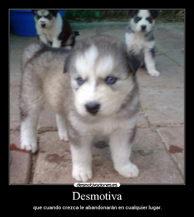 Desmotiva - que cuando crezca le abandonarán en cualquier lugar.