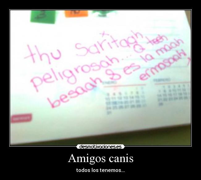 Amigos canis - todos los tenemos...