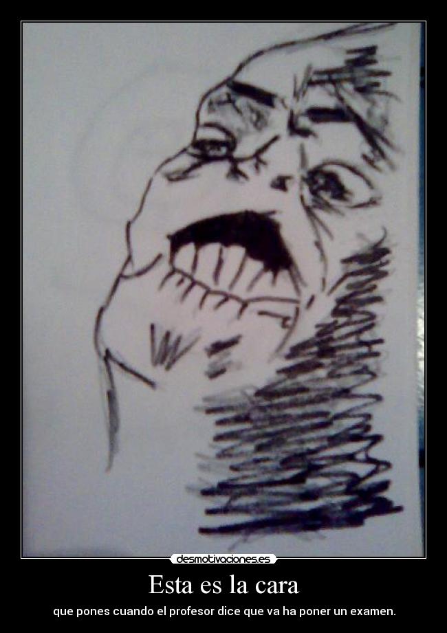 Esta es la cara - que pones cuando el profesor dice que va ha poner un examen.