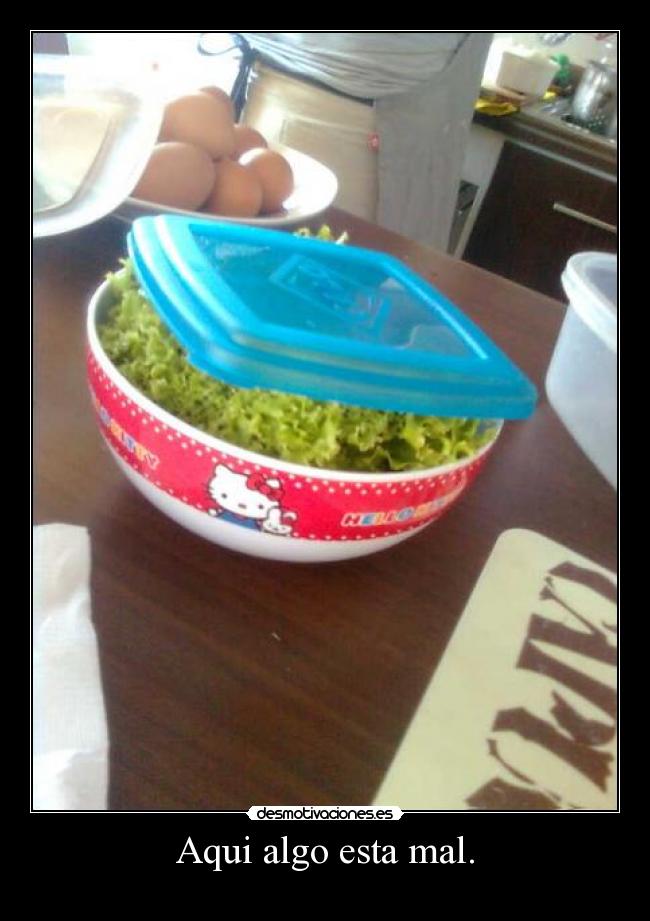 Aqui algo esta mal. -