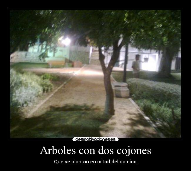 Arboles con dos cojones - 