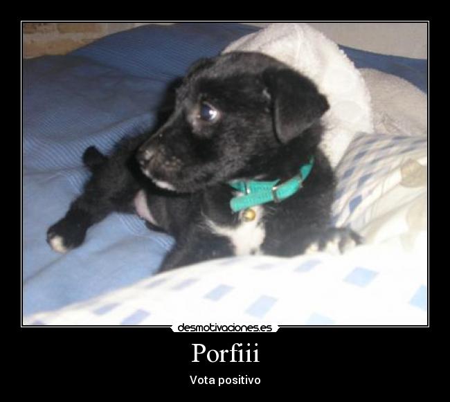 Porfiii -