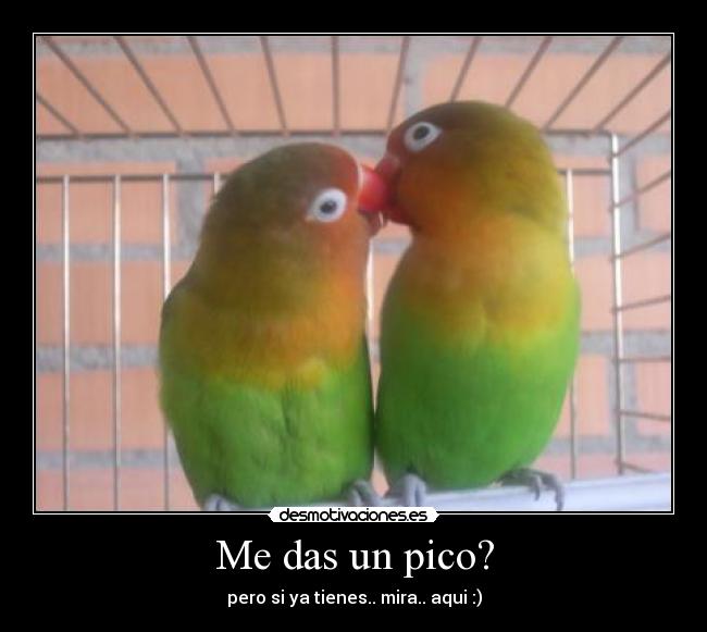 carteles nada desmotivaciones