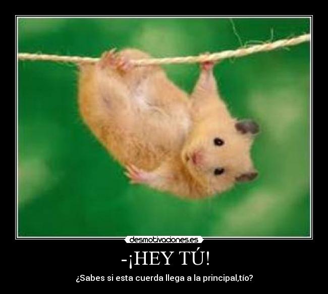 -¡HEY TÚ! - 