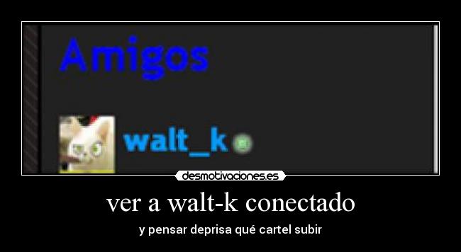 ver a walt-k conectado - 