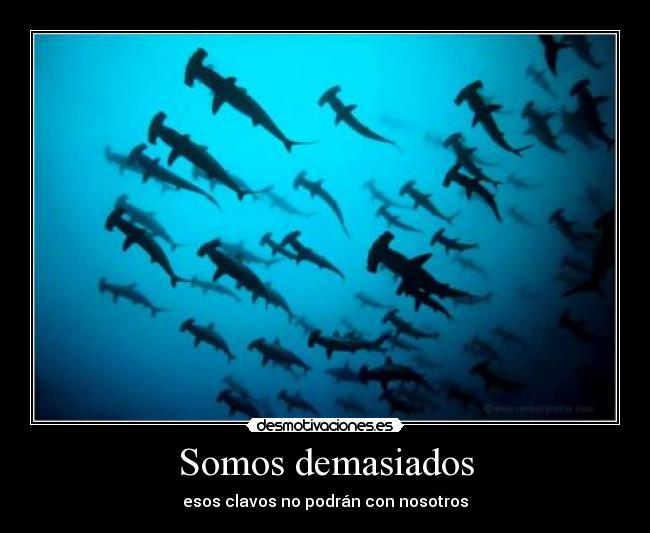 Somos demasiados - esos clavos no podrán con nosotros