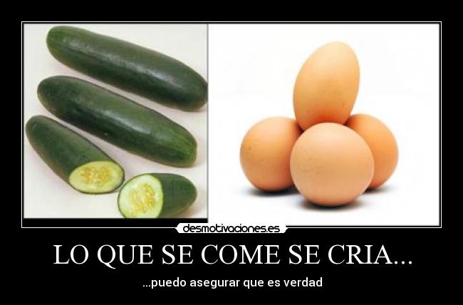 LO QUE SE COME SE CRIA... - ...puedo asegurar que es verdad