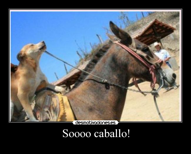Soooo caballo! -