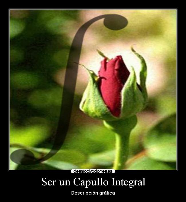 Ser un Capullo Integral -