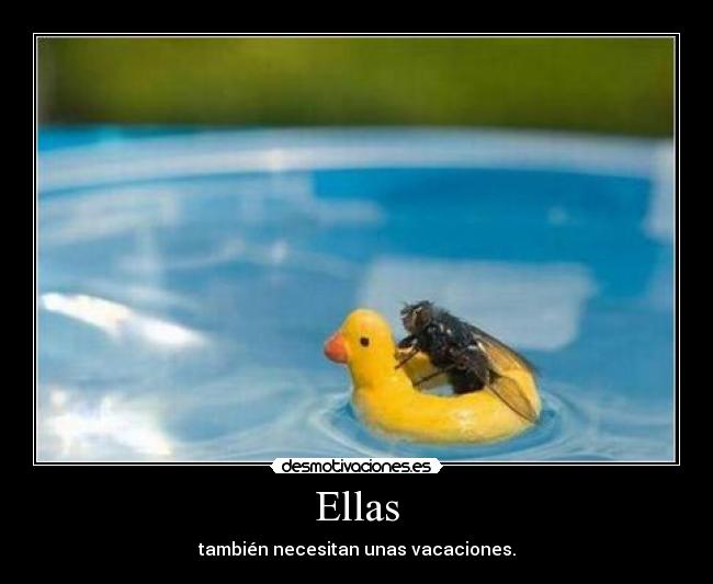 Ellas -